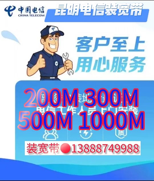 ��������_�������ſ���_�������ſ�������_������������Ӫ��